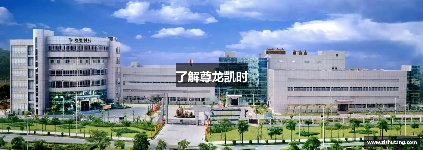 了解尊龙凯时